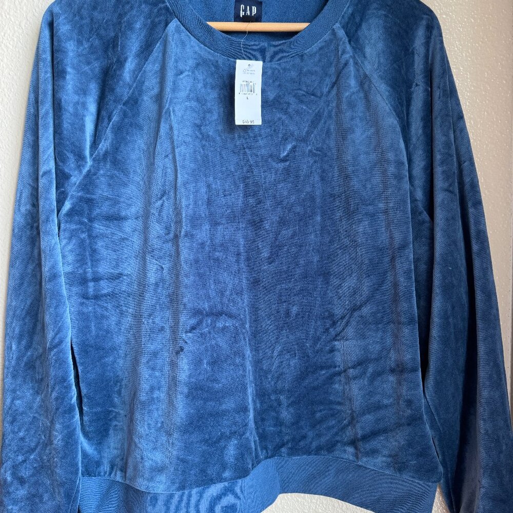 Velour Gap Sweatshirt NWT
